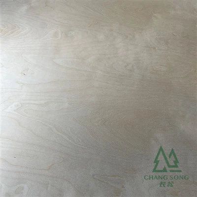 Contraplacat de bedoll bàltic d'alta qualitat